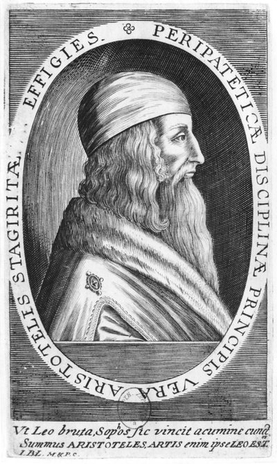 Aristotle by French School